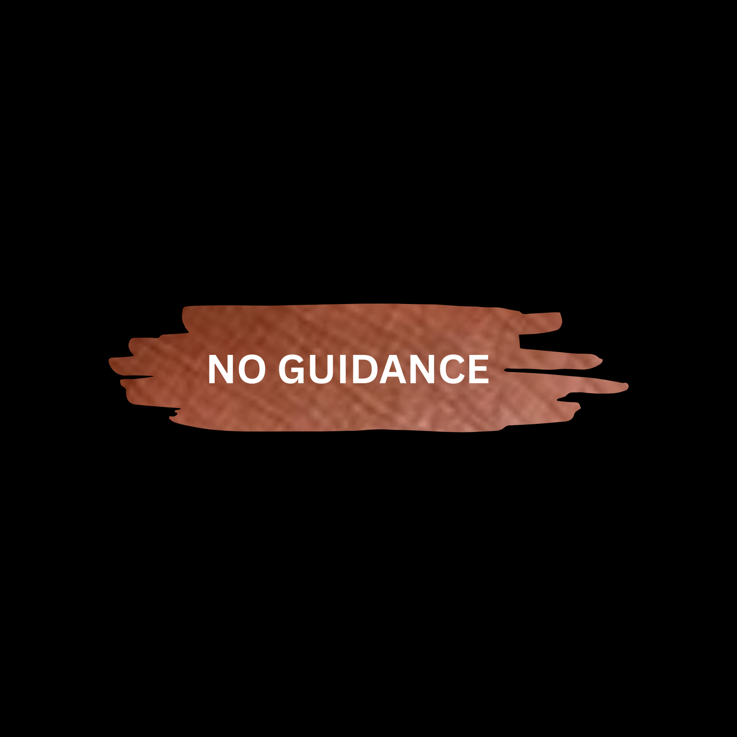 No Guidance